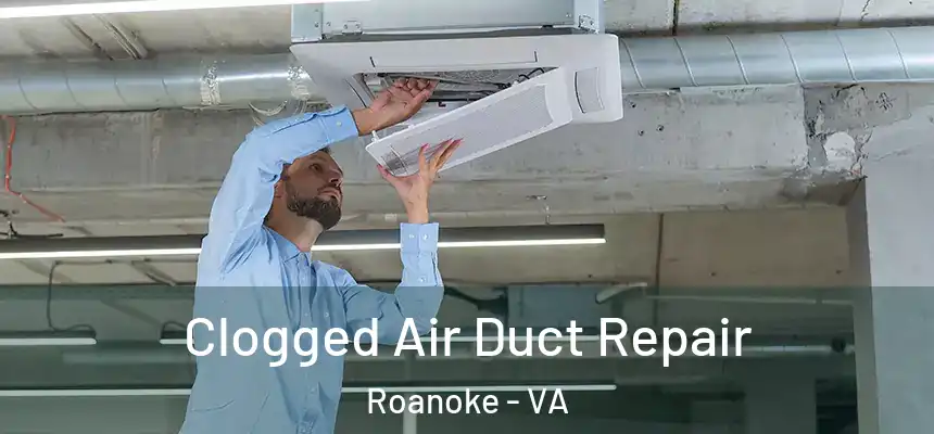  Clogged Air Duct Repair Roanoke - VA