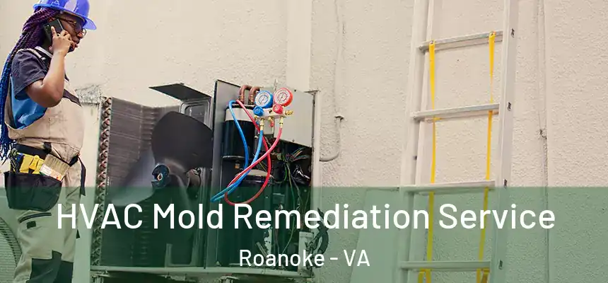  HVAC Mold Remediation Service Roanoke - VA