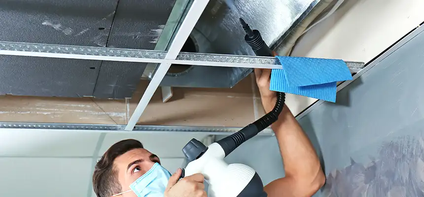 Our Air Duct Rodent Removal Services in Roanoke, VA