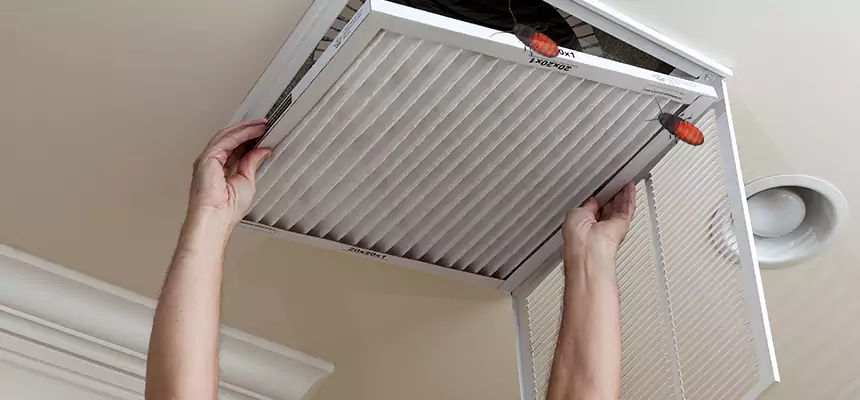 Our Insect Removal from Air Ducts Services in Roanoke, VA