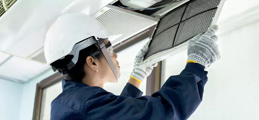 Our Mold & Mildew Removal from Air Ducts Services in Roanoke, VA