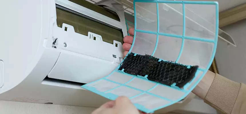 Gentle Ductwork Odor-Control Pet Dander Duct Cleaning in Roanoke, VA