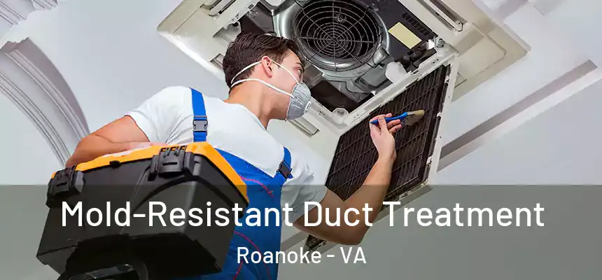  Mold-Resistant Duct Treatment Roanoke - VA