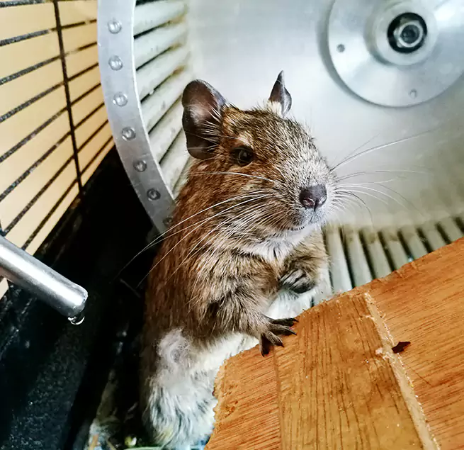 Why Homeowners & Businesses Trust Us Roanoke, VA?