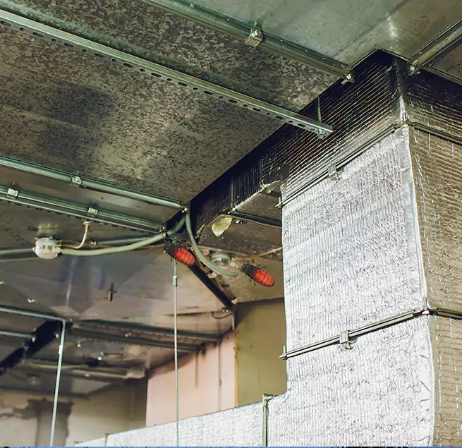 Why Homeowners & Businesses Trust Us Roanoke, VA?