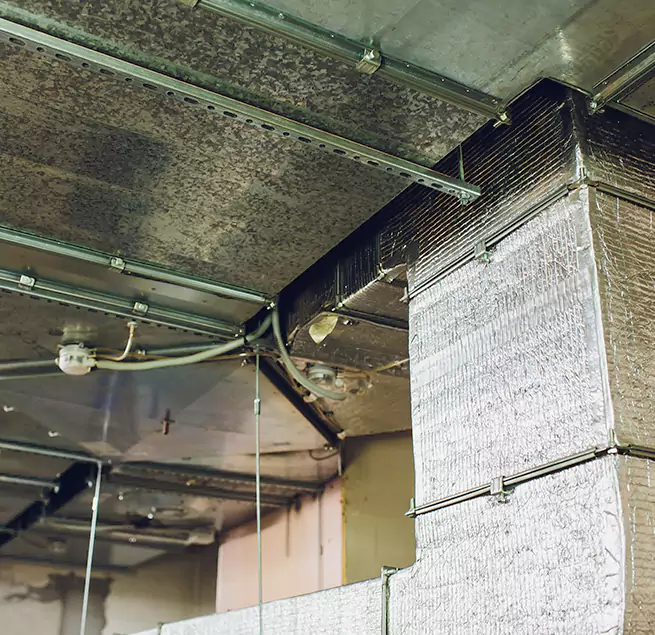 Why Homeowners & Businesses Trust Us in Roanoke, VA?