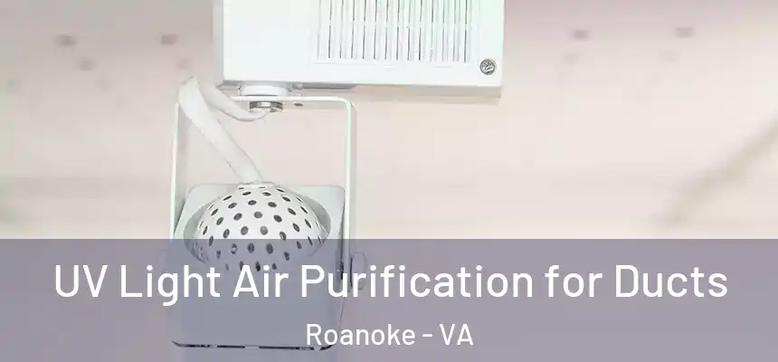  UV Light Air Purification for Ducts Roanoke - VA